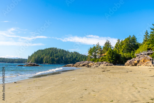 Breathtaking mackenzie beach embracing tofino's coastal beauty on vancouver island