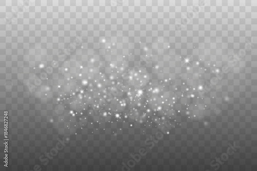 Delicate White Light Dust and Floating Sparkles Overlay, Vector