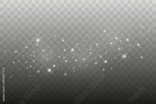 Elegant Glowing Dust and Sparkling Lights Overlay, Vector