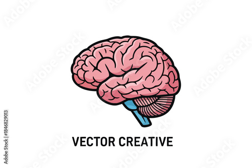Colorful cartoon-style brain illustration, featuring detailed convolutions. Vector creative text
