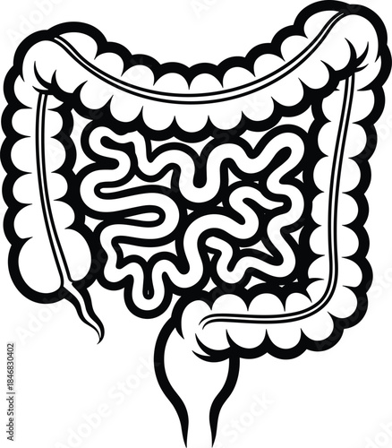 Human Intestines Silhouette Outline Graphic anatomy biology