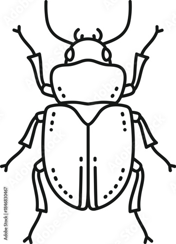 Outline of a Scarab Beetle with Transparent Background insect