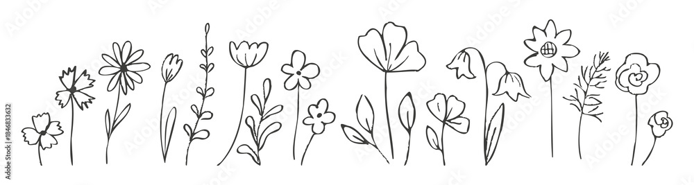 Obraz premium Contemporary ink drawing flowers, field plants. Childish floral Sketch. Hand drawn spring wildflowers in charcoal or crayon drawing style. Monochrome botanical vector illustration isolated
