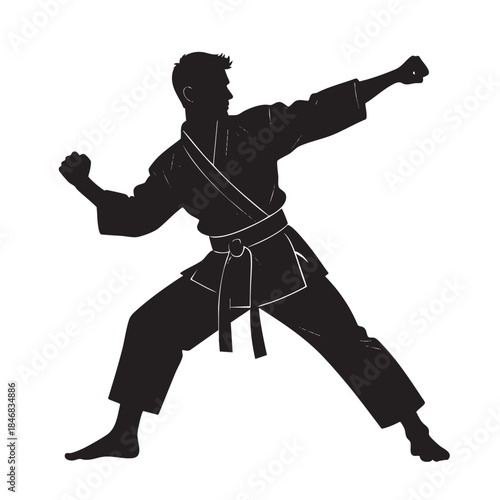 Silhouette of a karate practitioner in a fighting stance