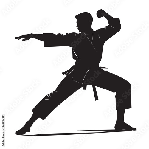 Silhouette of a man in a karate stance
