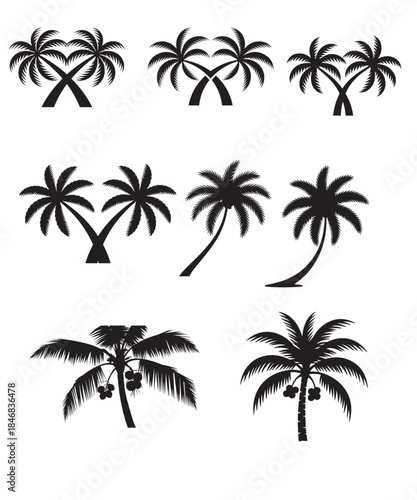 set of palm trees