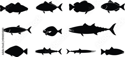 Fish silhouette collection featuring marine species shapes, black aquatic animal icons, fishing seafood illustration set for design projects branding advertising