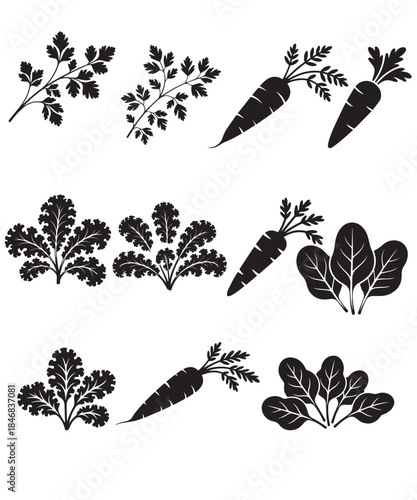 set of vegetables vector