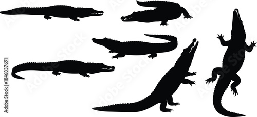 Crocodile silhouette collection featuring reptile wildlife poses, black alligator shapes for dangerous animal nature vector design illustration projects