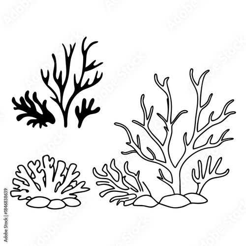 Set of sea coral outlines and silhouettes, marine reef plants in two styles, black and white vector illustration