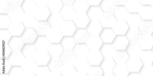Abstract white grid presentation surface mosaic and tiles minimal tech bee website science element grid overlay white hexagon futuristic technology geometric texture background.