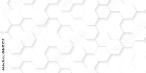 Abstract white grid presentation surface mosaic and tiles minimal tech bee website science element grid overlay white hexagon futuristic technology geometric texture background.