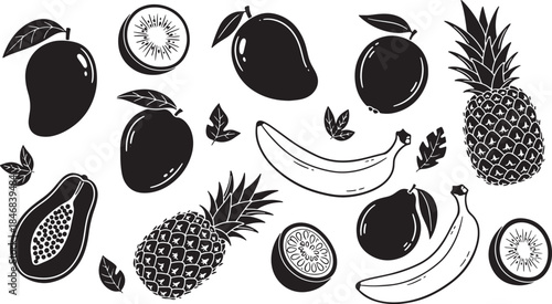 Adobe Illustrator Artwork