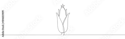 Continuous one thin smooth line simple minimalistic drawing of an ear of corn on a white background