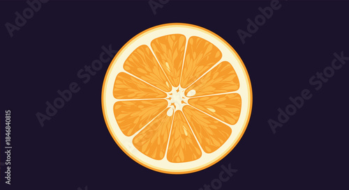 Vibrant and detailed illustration of a juicy orange slice showing its segments and texture against a solid dark navy blue background.