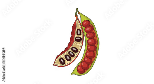 Colorful cartoon illustration of a bean pod, with one half open to reveal the red beans and seeds inside the shell.
