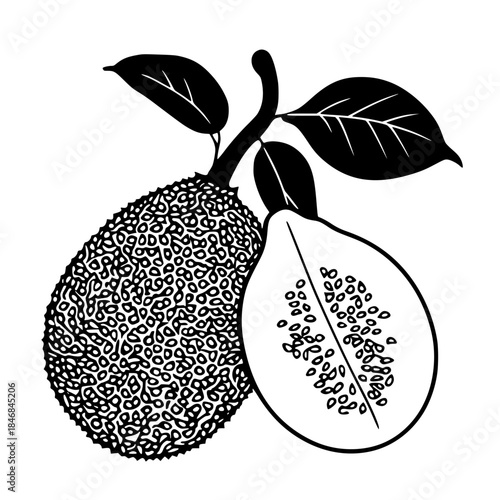 Silhouette ripe jackfruit, its seeds leaves | Clean, isolated vector art for creative projects.