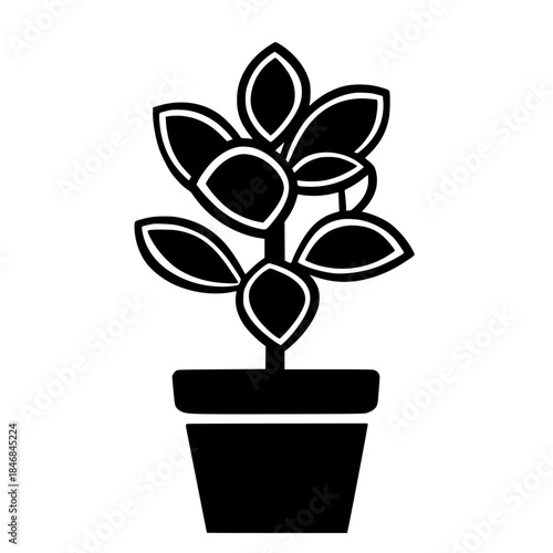 Silhouetted Jade Plant Minimalist Pot | Clean, isolated vector art for creative projects.
