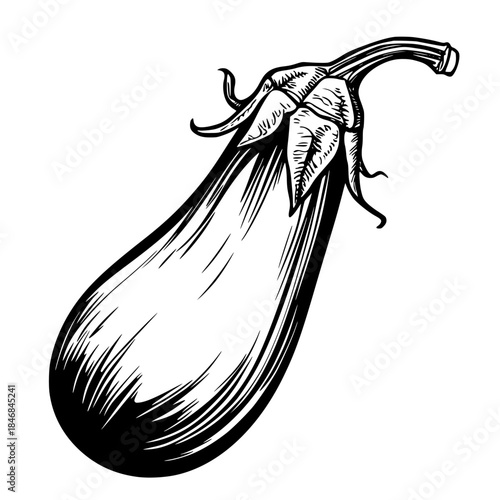 Epicurean's Delight: Art Eggplant Silhouette | Clean, isolated vector art for creative projects.