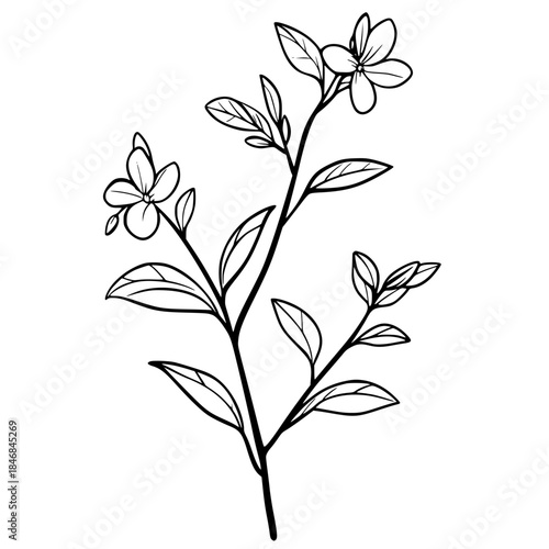 Botanical Beauty: Single Flower Silhouette | Clean, isolated vector art for creative projects.