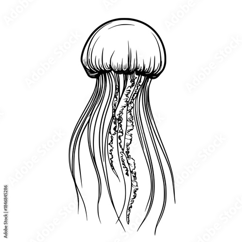 Silhouette lone octopus floating abyss | Clean, isolated vector art for creative projects.