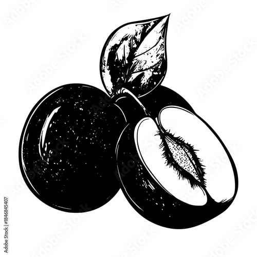 Tropical Delight: Velvet Starfruit | Clean, isolated vector art for creative projects.