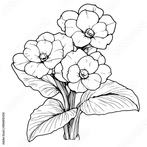 Silhouette Elegance: Single Flower Silhouette Art | Clean, isolated vector art for creative projects.