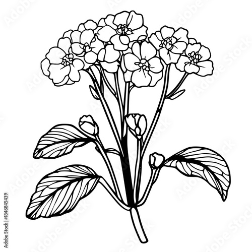 Floral Fantasy: Single Flower's Journey | Clean, isolated vector art for creative projects.