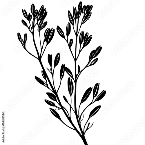 Silhouette Plant, Anigozanthos Kangaroo Paw | Clean, isolated vector art for creative projects.