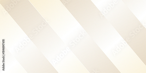 Vector abstract black and white gradient stripe diagonal curves thin overlap line. vector abstraction line transparent wavy fabric web geometric pattern technology texture design.