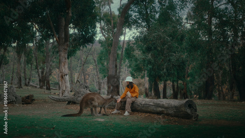 Foto A tranquil and peaceful scene showcasing a person kindly feeding a kangaroo with