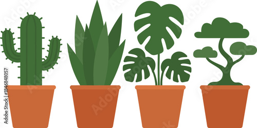 Minimalist illustration of potted houseplants, cactus, snake plant, monstera and bonsai