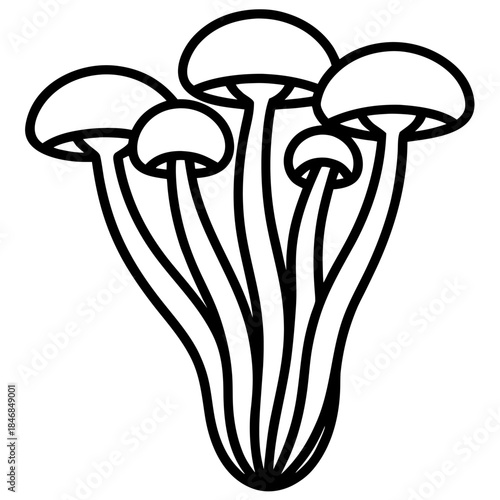 vector illustration of mushroom