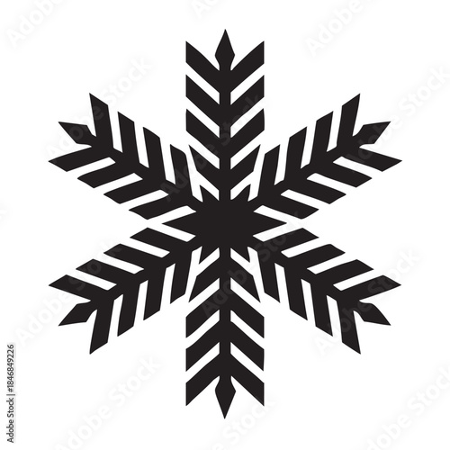 A striking detailed illustration of a black snowflake showcases intricate symmetrical patterns and crystalline structure