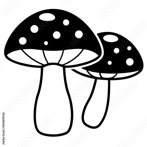 vector illustration of mushroom
