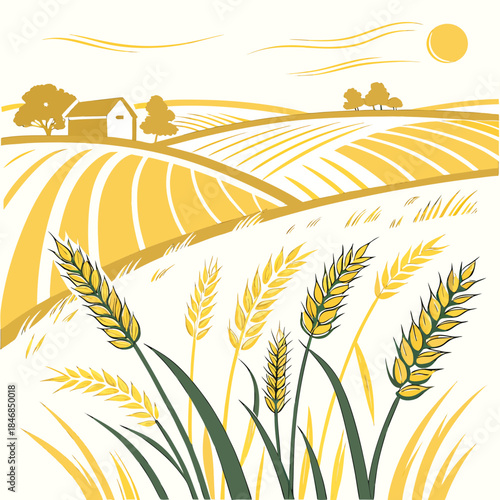 Rolling wheat fields under bright sunshine farm house