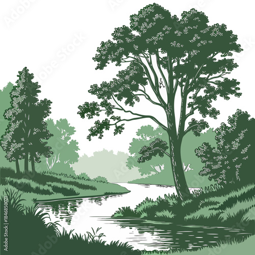 Serene forest pond surrounded by lush green trees and grassy banks