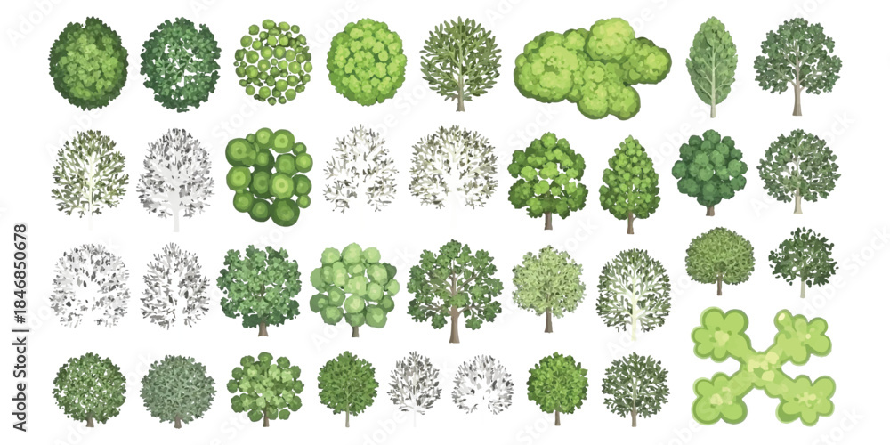 Fototapeta premium Diverse collection of trees with top and side views for architectural and landscape design assets
