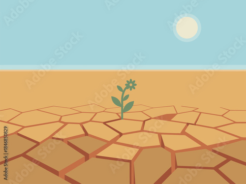 Hope Blooms in Arid Landscape