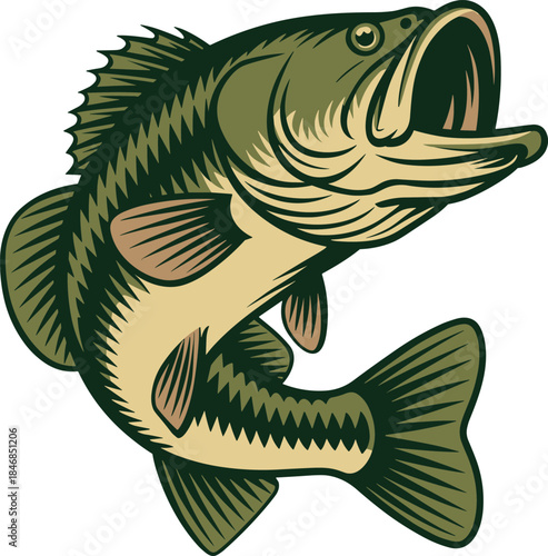 Largemouth bass illustration, vintage woodcut style freshwater fish, aggressive fishing mascot design, detailed green vector artwork