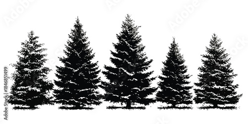 Collection of detailed black silhouette pine trees against a white backdrop