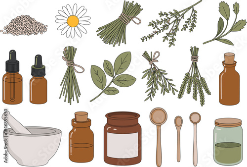 Herbal medicine illustration set, apothecary jars dried herbs flowers seeds mortar bottles, minimalist natural remedy collection