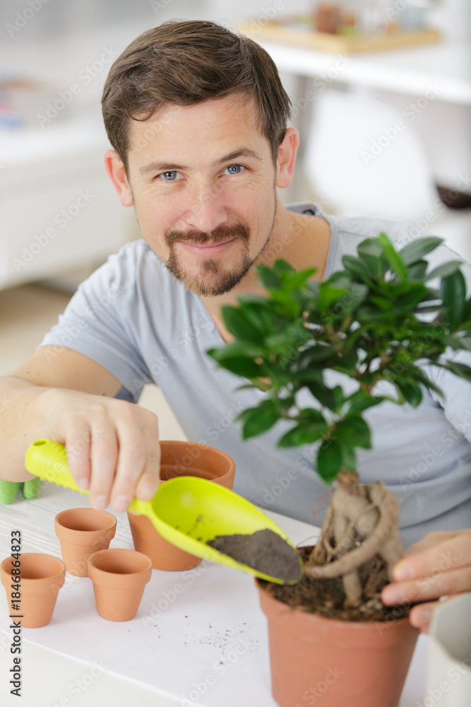 Fototapeta premium gardener florist working in a flower shop with house plants