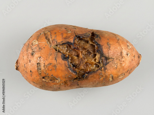 Viral Rot on Sweet Potato with Interior Browning - viral rot with exposed interior browning and tissue breakdown.