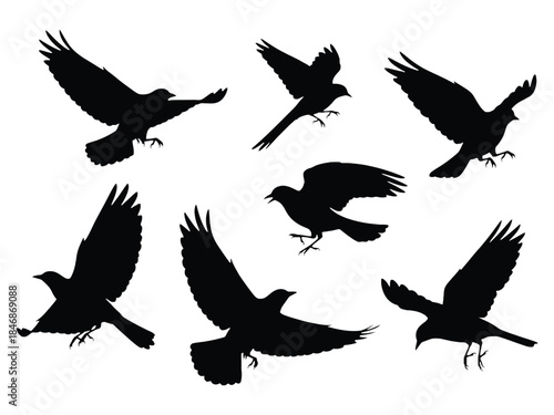 A flock of black birds in flight a silhouette against a white background