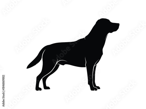 A simple black silhouette of a labrador retriever standing in profile
