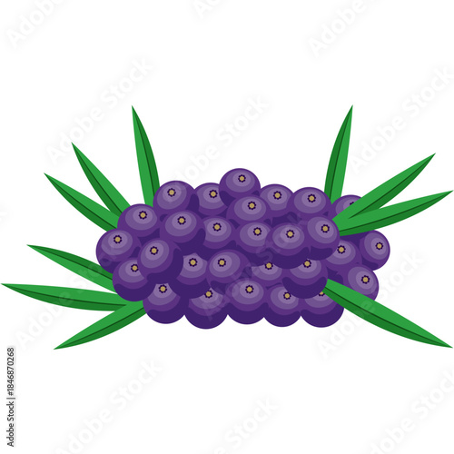 Acai berry cluster with green palm leaves, isolated on a white background. Tropical superfruit concept ideal for healthy food, organic products, branding, packaging, and Amazonian themes.