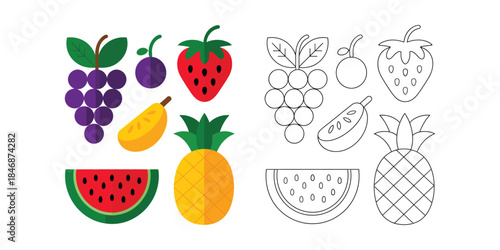 Fruit coloring page and reference sheet Vector illustration