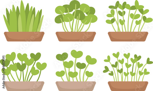 Minimalist potted houseplant illustration set modern indoor plants flat design green decor elements isolated on white background