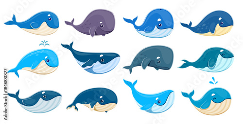 Cartoon whale characters, vector sea water animals set. Isolated cute blue, humpback and sperm whale personages of giant underwater mammal animals with happy smiles and water fountains